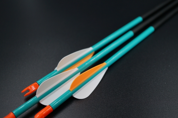 Arrow-Wraps Standard: Türkis